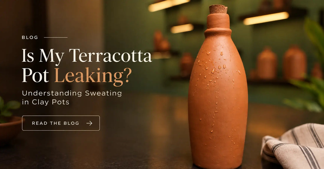 Is My Terracotta Pot Leaking? Understanding Sweating in Clay Pots